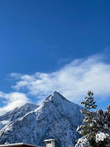 Studio 2 Alpes Style Chalet Au Pied De Telesiege Du Diable Ле-дез-Альп Екстер'єр фото